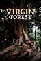 Virgin Forest Virgin Forest