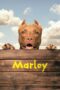 Marley Marley
