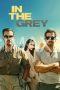 In the Grey (2026)